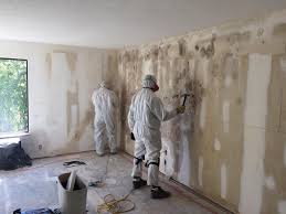 Best Basement Mold Removal in Trenton, MO